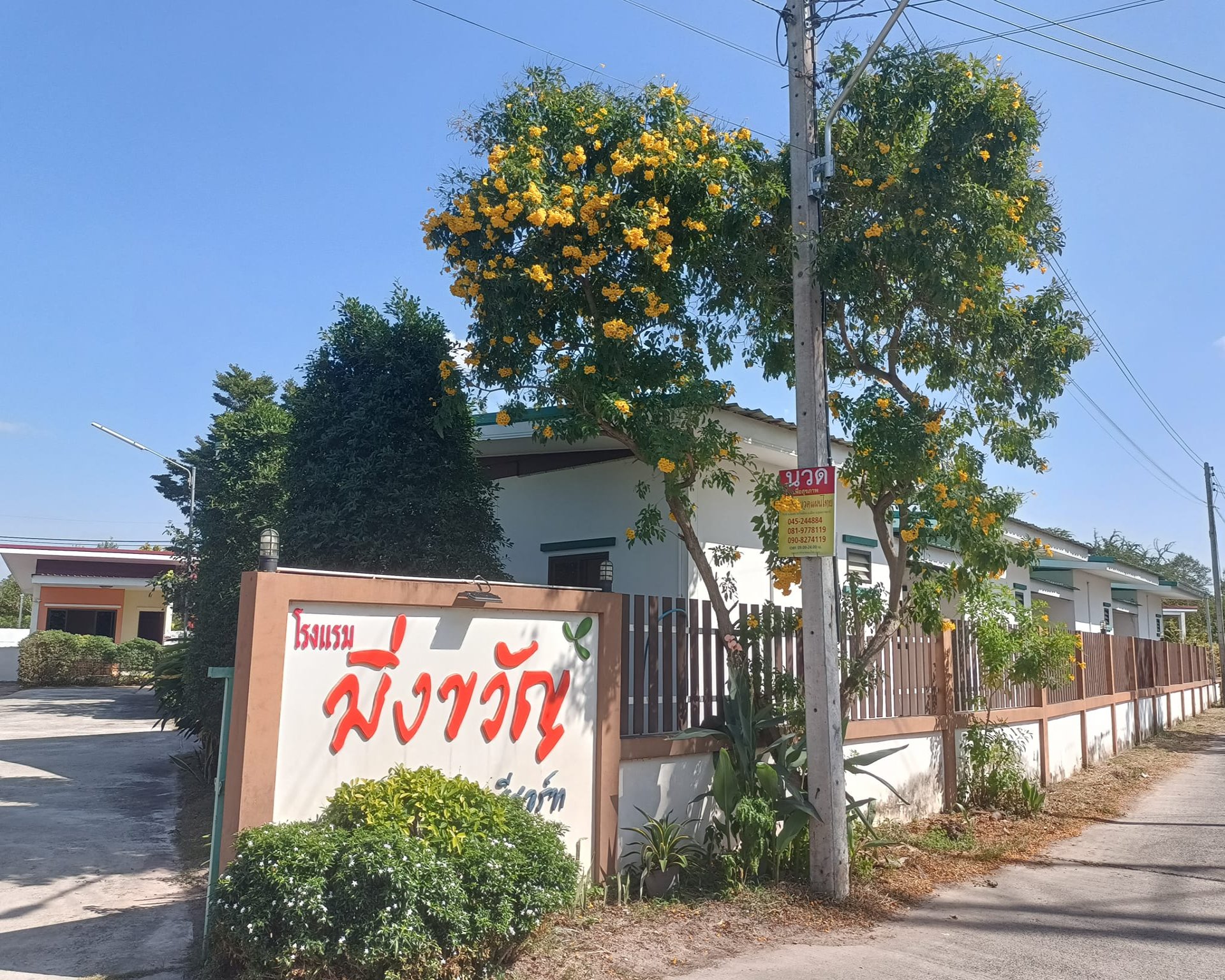 [รูปภาพข่าว 97]