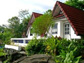 [รูปภาพข่าว 50]