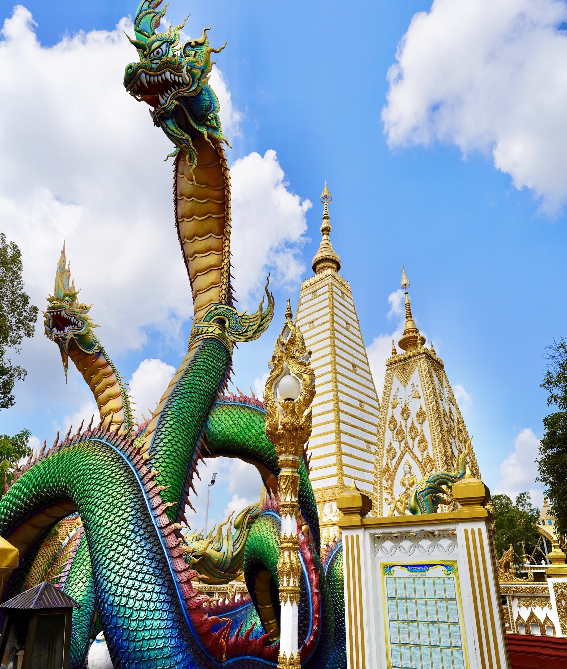 [รูปภาพข่าว 1]