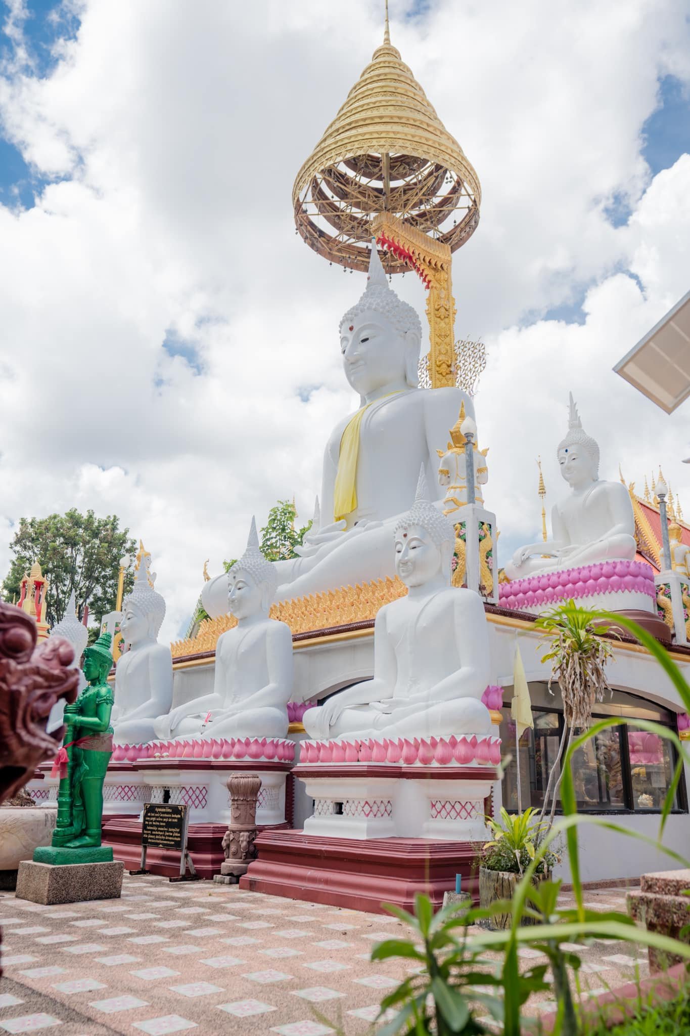 [รูปภาพข่าว 24]