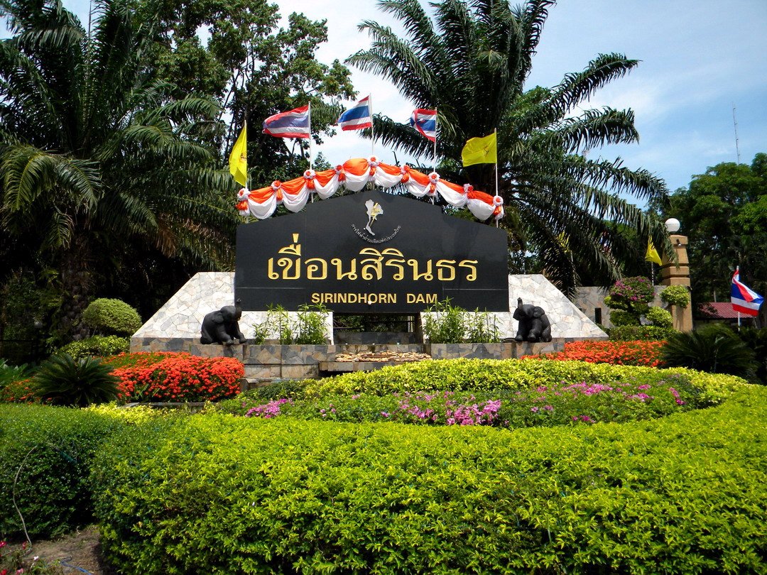 [รูปภาพข่าว 6]